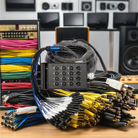 Câble Audio 8/12/16/24/28/32 Canaux 30 Mètres avec Connecteur XLR Veste PVC Câble de Scène Multi-Core en Stock
