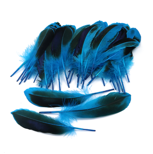 Teint 50pc Ploybag plume de canard pour bricolage artisanat cheveux Costume accessoire de pêche mouche attachant matériel ornement frange décor - Product Image 3