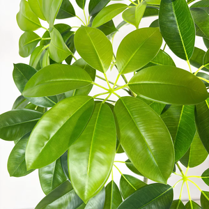 Alta calidad 140cm Artificial Schefflerae Octophyllae Tree Faux Greenery <span class=keywords><strong>Bonsai</strong></span> Plant Árbol artificial para Decoración - Product Image 2