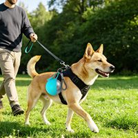 Nouvelle bouteille d'eau portable pliable isolée en acier inoxydable 304 pour animaux de compagnie, écologique, moderne, imperméable, 285 ml, pour chiens