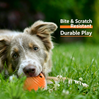 Balle interactive intelligente pour animaux de compagnie, rechargeable par USB, écologique, en caoutchouc, avec LED, qui saute et se déplace automatiquement, jouet de stimulation pour chiens