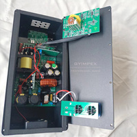 Amplificateur Audio Professionnel 2000W Monocanal pour Basses, Module Amplificateur de Puissance Élevée Classe D pour Subwoofer