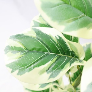 Künstlicher Geigenblatt-Feigen-Bonsai mit weißen Kanten, Einzelzweig, nordischer Stil, Heimdekoration, Bodendekoration, Tischornament - Product Image 3