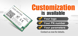 Ebyte ODM E01-2G4M20S1B 20dBm Multi-channel PA LNA SMD wireless module with built-in PCB antenna 2.4GHz SPI wireless RF module - Product Image 6