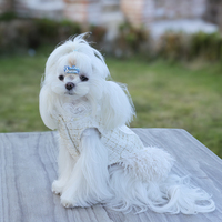 Robe classique personnalisable en gros pour petits chiens et chats – Confortable et respirante en polyester
