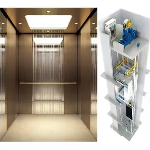 3 Stop Residential Elevator Luxury Car Decoration For Villa House Lifting Passengers