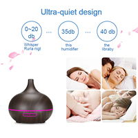 Humidificateur Mini Portable Moderne et Simple Alimenté par USB 500ml, Diffuseur d'Huiles Essentielles Silencieux avec 7 Couleurs de Lumière et Minuteries