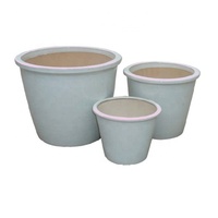 Pots à fleurs en céramique en forme de tasse, design unique, pots pour plantes