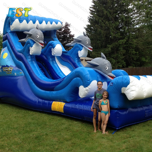 Cầu Trượt Nước PVC Thương Mại Núi Lửa 18ft Cầu Trượt Bơm Hơi Cầu Trượt Nước Đá Cẩm Thạch Nhiệt Đới Bơm Hơi Để Bán - Product Image 6