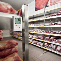 Medidor de Temperatura y Humedad Mini de Alta Precisión Original T174H, Registrador de Temperatura para Oficina y Cuarto Frío 0572 1741