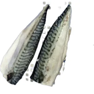 High Quality Frozen norway saba mackerel fillet