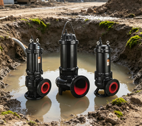 Automatische 3-PS-Tauchpumpe für Abwasser mit Schwimmerschalter, SS304-Laufrad für Kellerbrunnen & Klärgrube, Kaliber 50mm, IP68