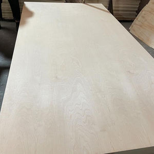 Placa <span class=keywords><strong>de</strong></span> <span class=keywords><strong>madera</strong></span> contrachapada fenólica <span class=keywords><strong>de</strong></span> abedul báltico ruso comercial <span class=keywords><strong>de</strong></span> 3mm 4MM 18mm para gabinetes <span class=keywords><strong>de</strong></span> cocina <span class=keywords><strong>Precio</strong></span> - Product Image 2