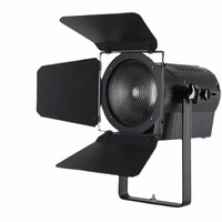 Projecteur de scène Fresnel 200W blanc chaud pour théâtre et studio TV avec options de montage sur pied et suspendu
