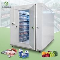 Chambre froide de boucherie pour fromages, conteneur frigorifique de 3,5 tonnes, grande chambre froide de 20 pieds pour bananes