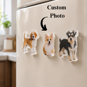 Aimants personnalisés en acrylique pour animaux de compagnie, aimants photo pour réfrigérateur, cadeaux personnalisés avec étiquette privée, aimants pour réfrigérateur chien et chat - Product Image 3