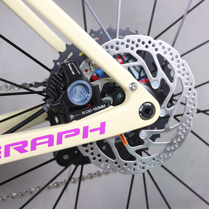 Vélo complet avec cadre en carbone pour vélo de gravier, groupe WheelTop GEX 1*13, roues en aluminium PT7550C GR208 GR208 Complet - Product Image 3