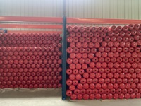 Extincteurs à CO2 (dioxyde de carbone) en acier inoxydable en gros – Tailles 2kg, 3kg, 5kg, 6kg, 10kg, 25kg, 50kg. Personnalisation OEM/ODM