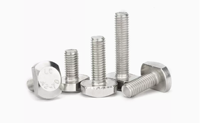 Boulons en T en acier inoxydable SS304 SS316 M6 M8 M12 M14 Passication DIN186 DIN188 - Product Image 1