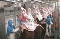 Équipement d'abattoir miniature à haute efficacité, machine de transformation de la viande pour l'abattage du bétail, machine d'abattage de boeuf pour l'abattoir