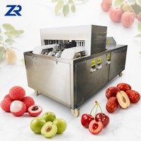 Machine voor het verwijderen van pruimenpitjes, lychee-schiller en -ontpitter, machine voor het ontpitten van kleine vruchten, longan-ontpitter