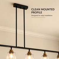 Luminaire LED noir à 3 lumières, en fer, hauteur réglable, abat-jour en verre, base E26, 3000K, dimmable, installation facile à 360°