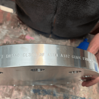 Flanges d'alimentation en eau EN-1092, fabricant, BL DN125 DN150 DN200 DN250 DN300, acier au carbone forgé A105 S235JR, flanges aveugles