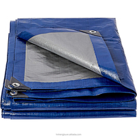 Rouleau de bâche en PE tissé enduit imperméable anti-UV sur mesure, bleu, orange, marron, argent, pour couverture de camion