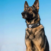 Localizador GPS Inteligente Multifuncional para Exteriores, Monitor de Actividad Antipérdida, Collar con Rastreador 4G para Perros de Caza, Rastreo de Mascotas en Tiempo Real
