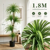 Dracaena marginata artificielle 120-210 cm, arbre du dragon multi-troncs en pot pour la décoration intérieure et extérieure, maison, bureau