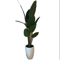 Ventes d'usine, plantes artificielles simulées de 2200 mm de haut, palmiers bananiers modernes