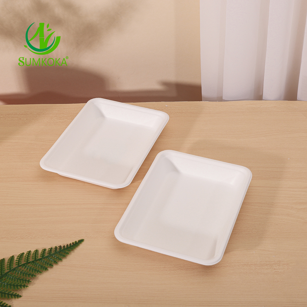 SUMKOKA Custom Sugarcane Bagasse Pulp Paper Dish Plate Compostable Biodegradable Disposable Bagasse Large Plate Tray Compostable