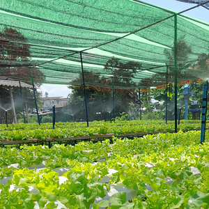 Chất lượng cao tùy chỉnh HDPE Sun Shade Trap màu xanh lá cây uv-hoàn buồm Shades <span class=keywords><strong>Net</strong></span> cho ngoài trời Patio nhà kính sử dụng - Product Image 2