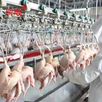 Ligne de production d'abattage de volailles à vendre - Usine d'abattage de poulets halal à chauffage vapeur