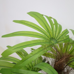 Realistic <b>Artificial</b> Palm <b>Tree</b> UV Resistant High Quality Plastic Waterproof Eco-Friendly Indoor <b>Outdoor</b> Wedding Home Decoration - Product Image 4
