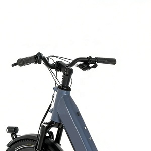 Vélo cargo électrique OEM ODM en gros, nouveau modèle à longue portée, 26 pouces, pneus larges 2.35 pouces, freins à disque hydrauliques, 48V - Product Image 6