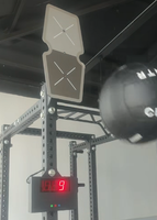 ZY Wall Ball Target Counter Smart Training Board Automatic Counting Sensor Functional Fitness Equipment