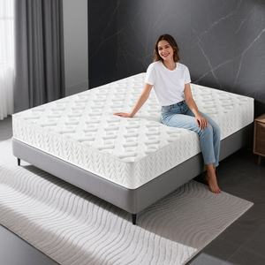 Thiết Kế Mới Phòng Ngủ Thoải Mái Nệm Vải Kích Thước Túi Mùa Xuân Nệm Cho Bán Nệm Nữ Hoàng Kích Thước - Product Image 1