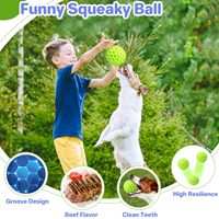 Tente tunnel interactive 4-en-1 pour chiens et chats – Maisonnette de jeu durable avec design pliable pour petits animaux