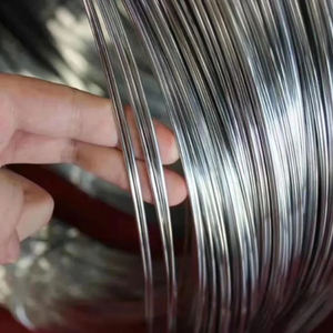 سعر المصنع المنخفض sa1065 Sae1050 1 ، 4 ، 10 ، Sae1006 Sae1018 رود - Product Image 3