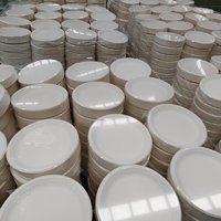Plato Desechable de Bagazo Blanco Premium de 9 Pulgadas, Resistente, Compostable, Reutilizable, Biodegradable, para Camping, Apto para Microondas, Ecológico