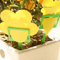 Pièges à champignons pour plantes d'intérieur et d'extérieur Feuilles de papier collant jaune Piège à insectes à semi-conducteurs