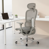 Chaise de bureau ergonomique avec support lombaire et dossier réglables en hauteur, accoudoir en aluminium 6D, nouveau design, unique