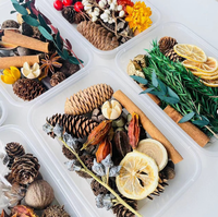 Kit de fleurs séchées DIY pour Noël, cône de pin naturel, bâton de cannelle, tranche d'orange séchée, fournitures artisanales botaniques