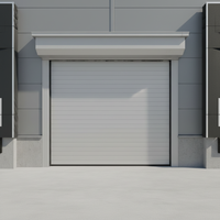 Portes électriques modernes antivol, volets roulants et levage de porte de garage