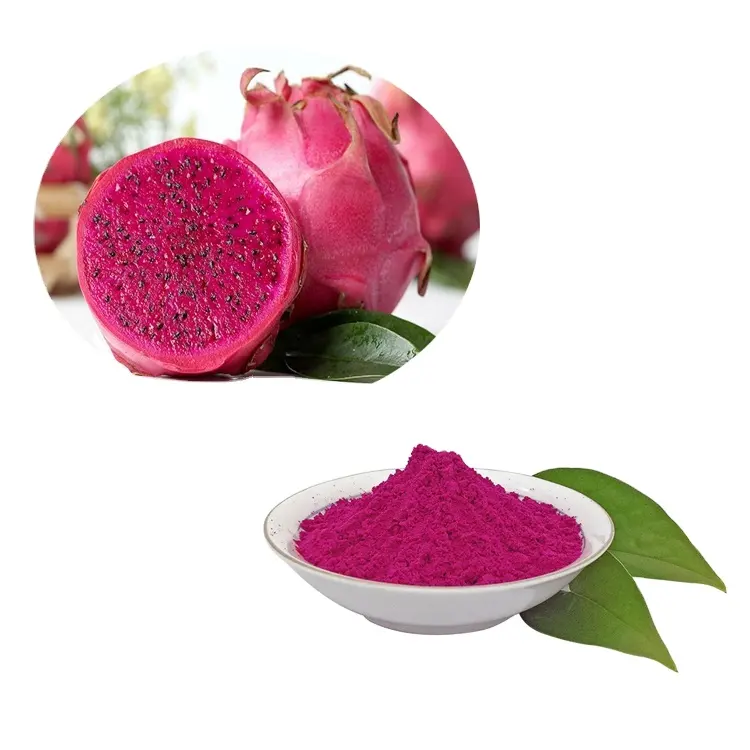 Polvere di concentrato di succo di frutta di drago secco biologico rosa rosso naturale puro