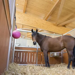 Pelúcia cavalo com caixa de celeiro, portas holandesas para um celeiro do cavalo, celeiro do cavalo para <span class=keywords><strong>2</strong></span> cavalos - Product Image 1