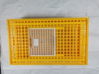 Boîte de transport pour volailles en plastique épaissi empilable, panier de transfert pour cailles et poussins, caisses de transport pour poulets