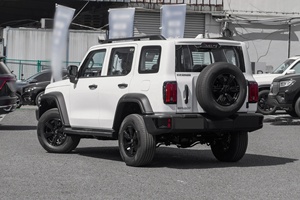 2026 New Tank 300 2.0T 227Ps L4 F-AWD Gasoline Cars 5-<b>door</b> 5-seater SUV Large Space Petrol Cars for Sale - Product Image 6