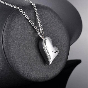 Cuore ricordo gioielli cremazione gioielli ricordo collana urna commemorativa per le ceneri per le donne uomini mio caro cane per sempre nel mio cuore - Product Image 6